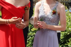IMG_8778