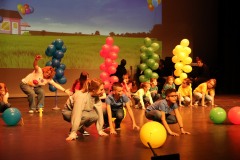 IMG_7910-a