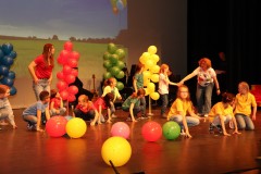 IMG_7910-c